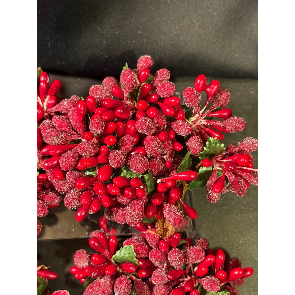 Vintage Red Sugared Berry Napkin Rings Set of 6 Holiday Christmas Table Decor
